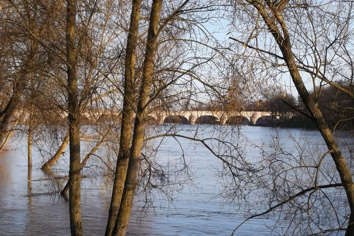 Saint-Cyr-sur-Loire